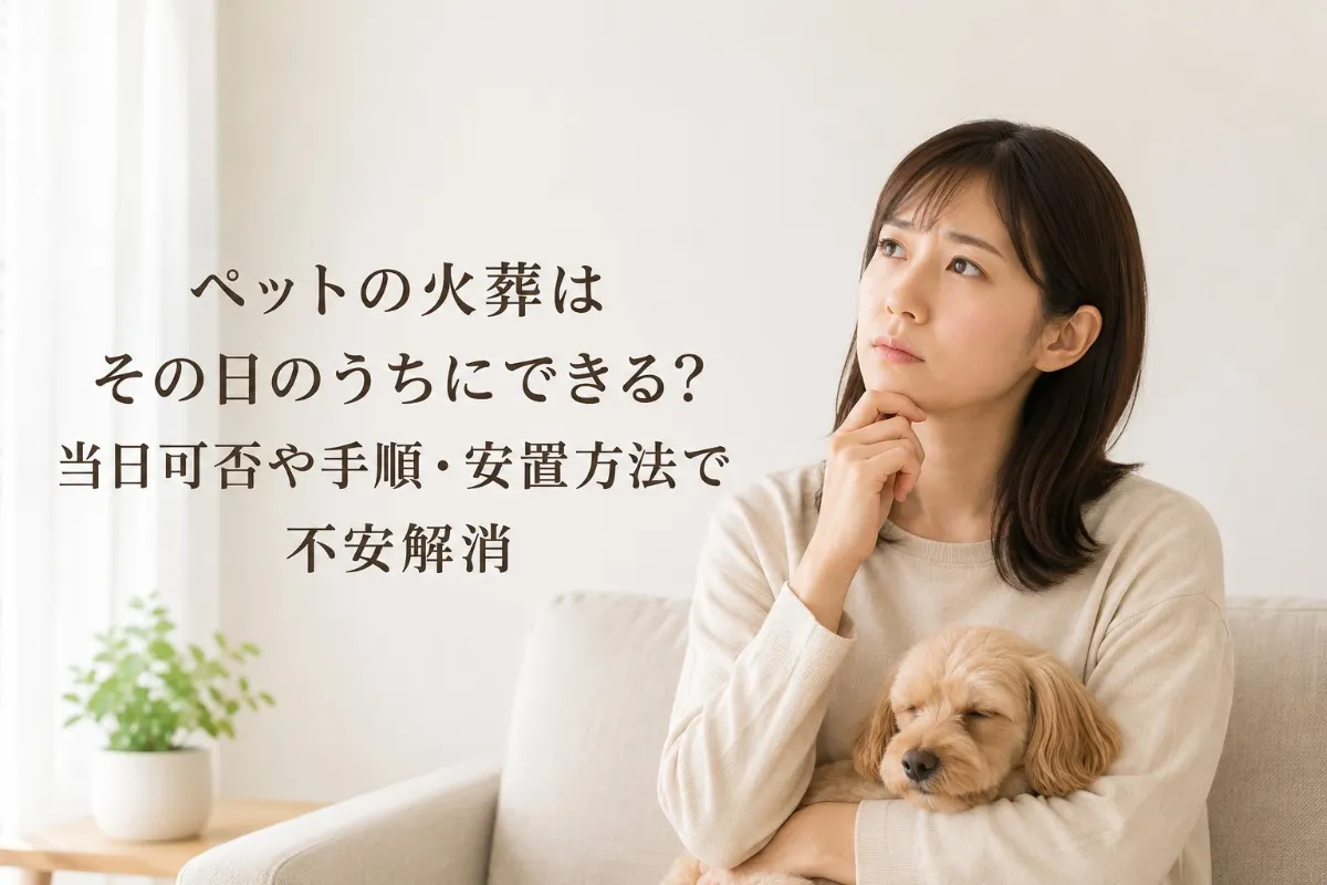 ペットの火葬はその日のうちにできる?当日可否や手順・安置方法で不安解消