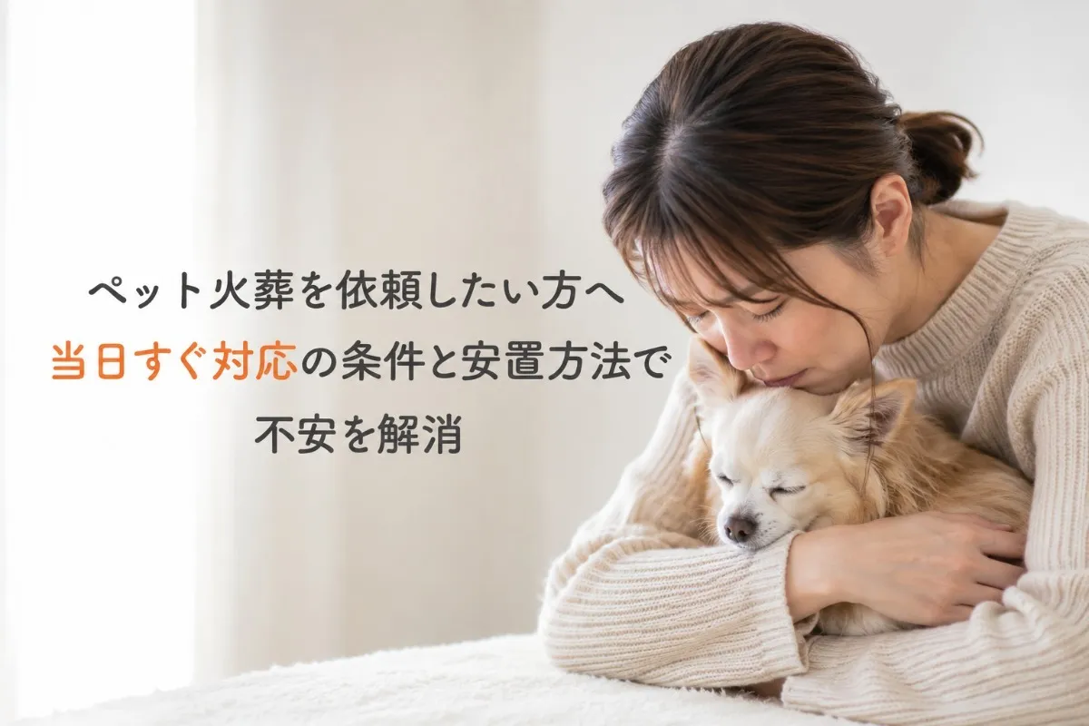 ペット火葬を依頼したい方へ当日すぐ対応の条件と安置方法で不安を解消